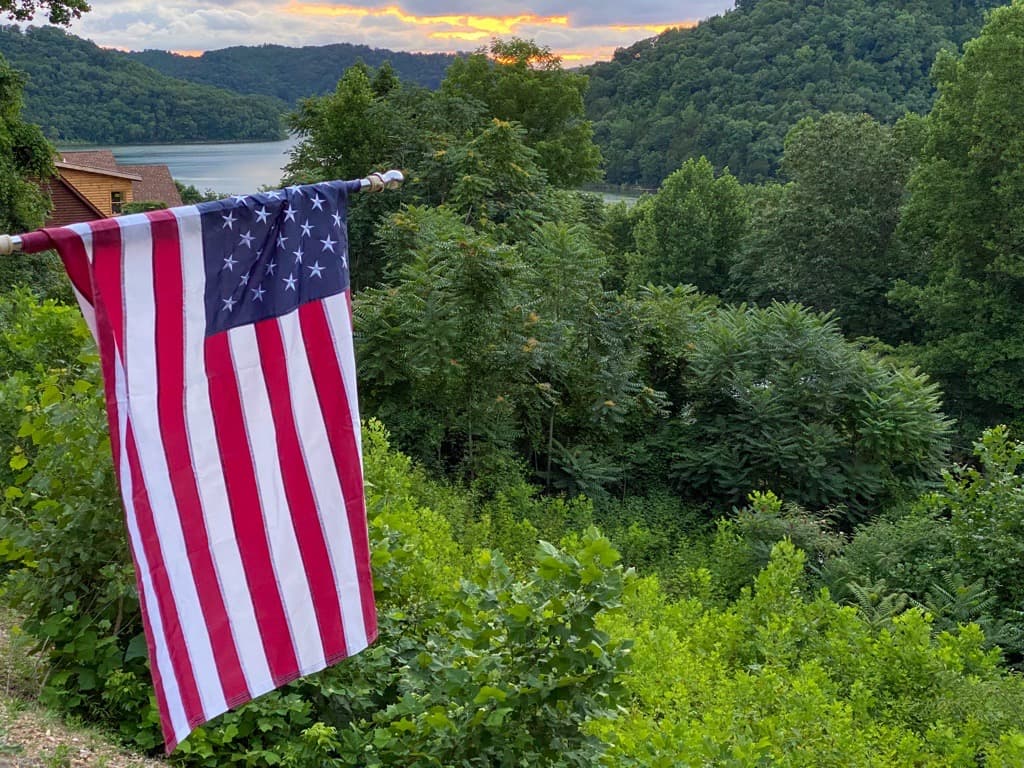 Flag and trees